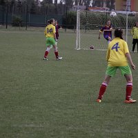 IMG 2101